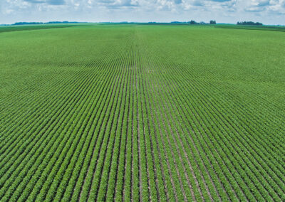 78 Acres Mitchell County Osage Iowa Land Auction August 2026