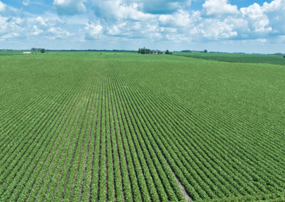78 Acres Mitchell County Osage Iowa Land Auction August 2026