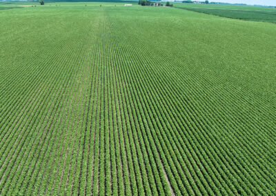78 Acres Mitchell County Osage Iowa Land Auction August 2026