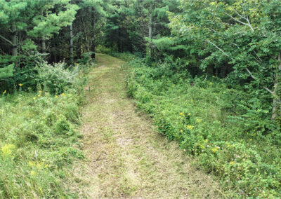 32918 Honeytree Lane 2 Acre Wooded Building Site