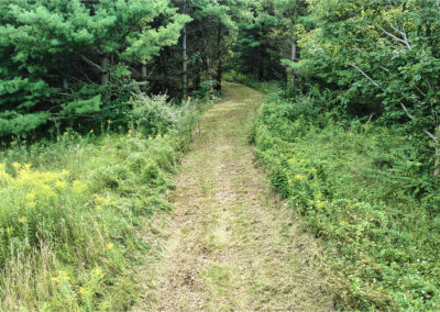 32918 Honeytree Lane 2 Acre Wooded Building Site