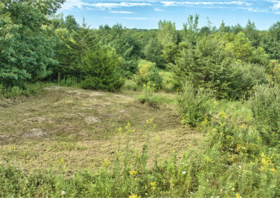 32918 Honeytree Lane 2 Acre Wooded Building Site