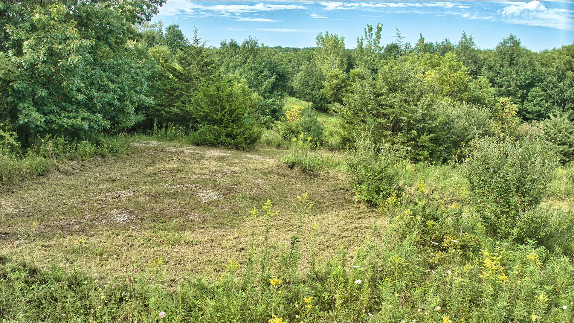 32918 Honeytree Lane 2 Acre Wooded Building Site
