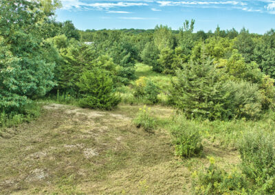 32918 Honeytree Lane 2 Acre Wooded Building Site