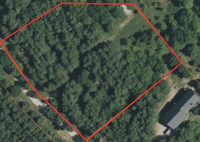 32918 Honeytree Lane 2 Acre Wooded Building Site