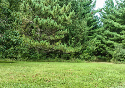32918 Honeytree Lane 2 Acre Wooded Building Site