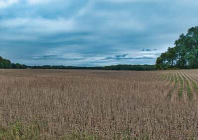 197-Acres-Land-For-Sale