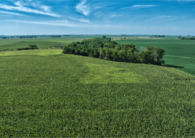 167-Acres-Grundy-County-Iowa-Land-For-Sale
