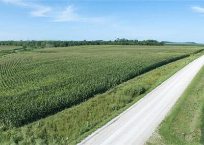 167-Acres-Grundy-County-Iowa-Land-For-Sale