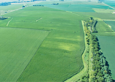 167-Acres-Grundy-County-Iowa-Land-For-Sale