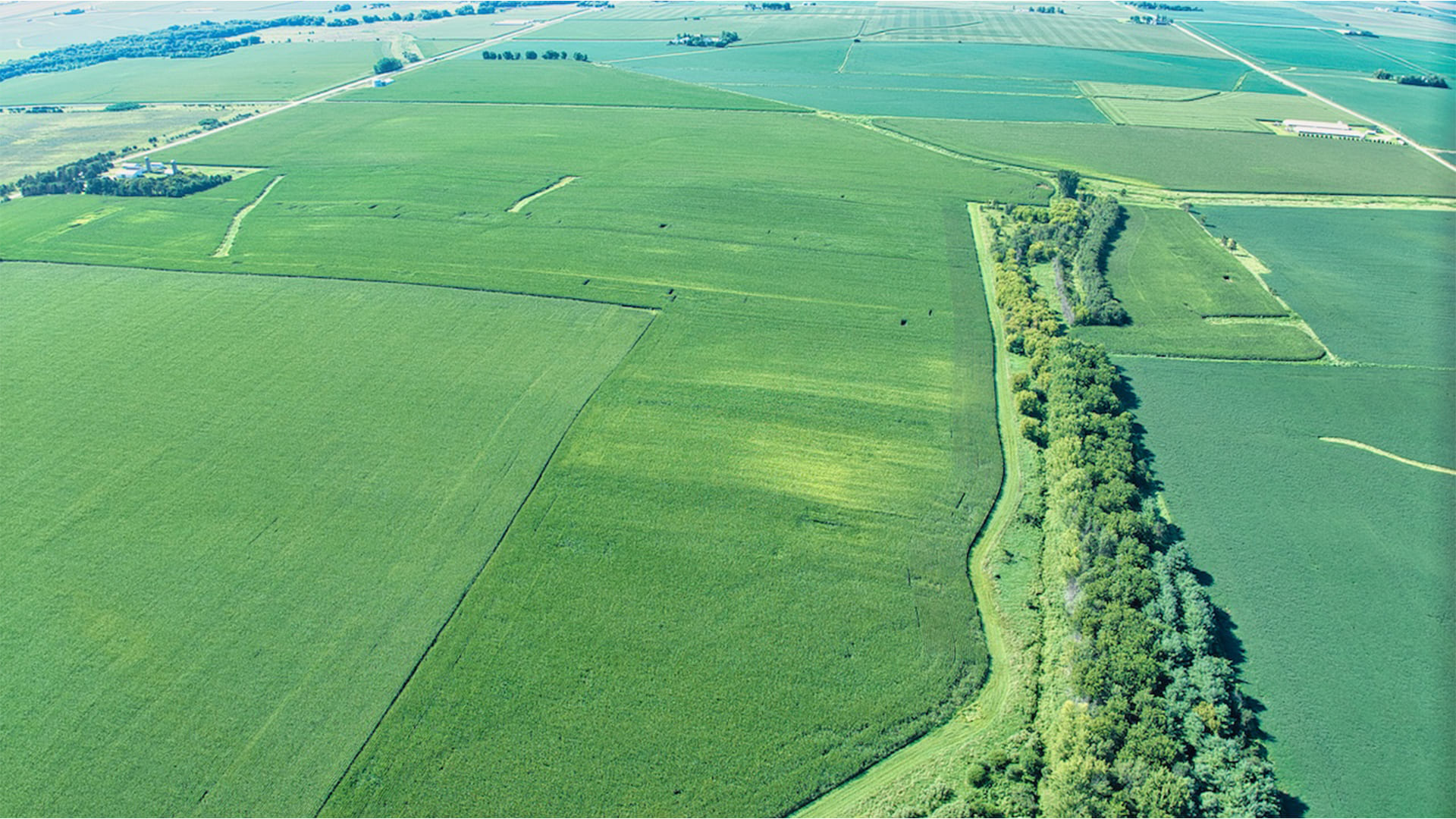 167-Acres-Grundy-County-Iowa-Land-For-Sale