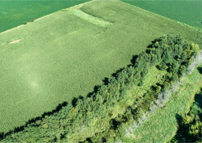167-Acres-Grundy-County-Iowa-Land-For-Sale