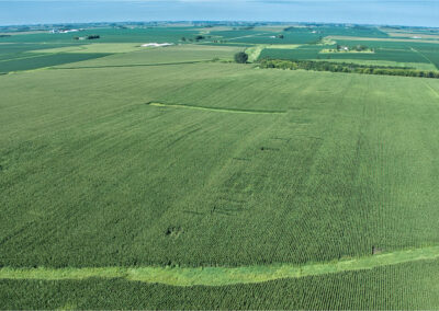 167-Acres-Grundy-County-Iowa-Land-For-Sale