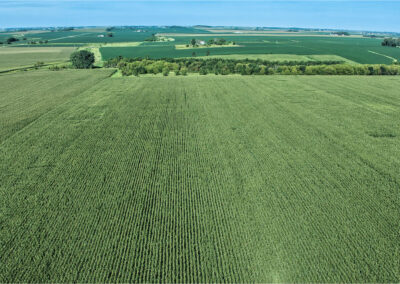 167-Acres-Grundy-County-Iowa-Land-For-Sale