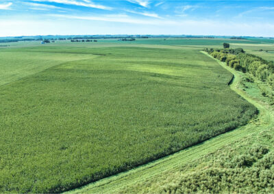 167-Acres-Grundy-County-Iowa-Land-For-Sale