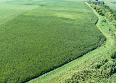 167-Acres-Grundy-County-Iowa-Land-For-Sale